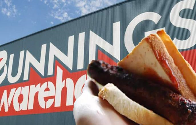 Bunnings SS.png